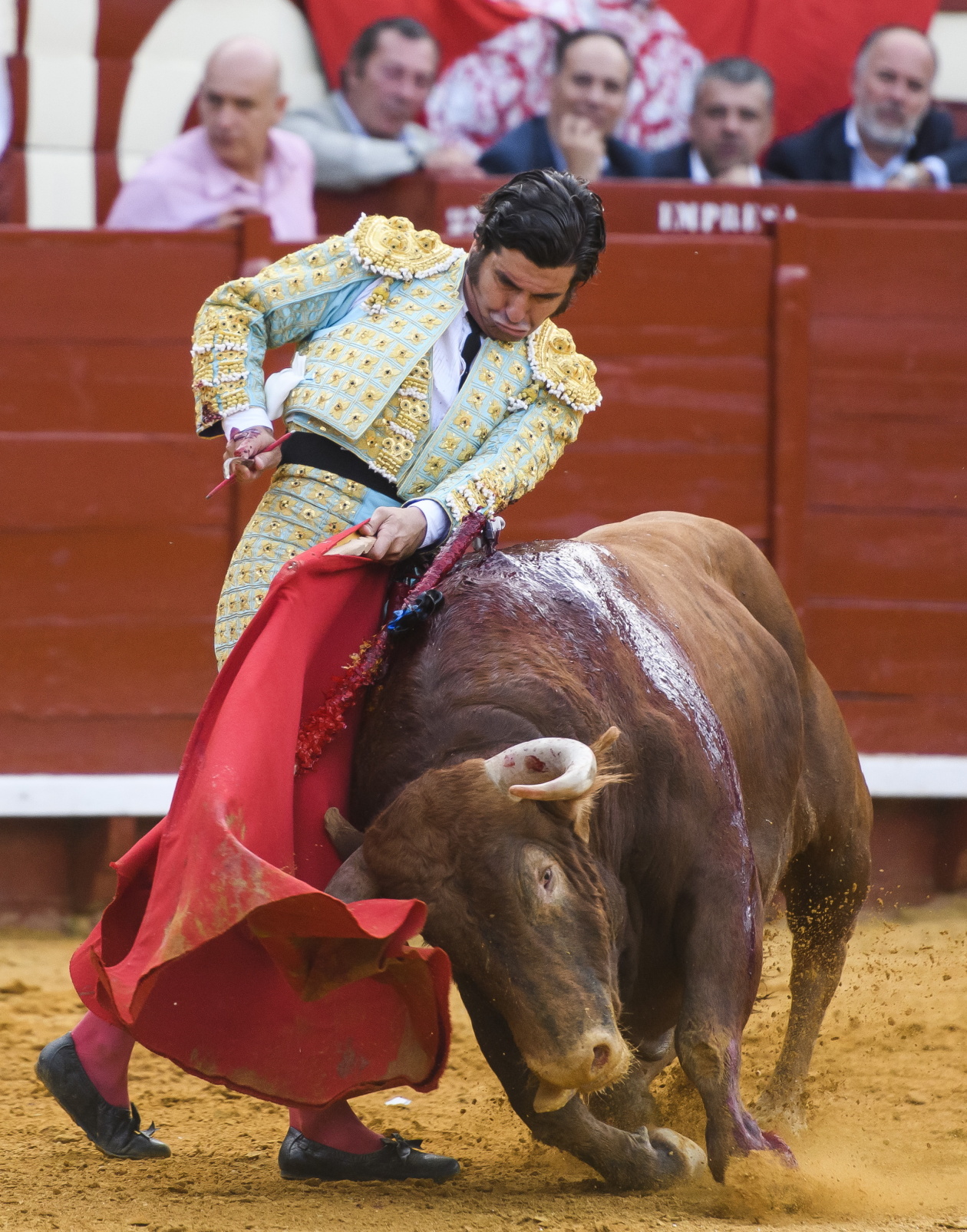 西班牙赫雷斯举行斗牛盛会比赛现场紧张刺激