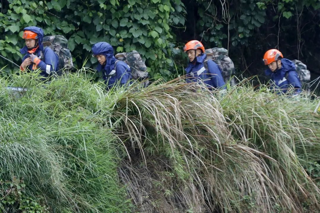2022年5月14日,云南省大理州森林消防支队队员上山搜救失联人员(图 | 视觉中国)