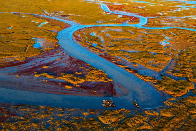 航拍东营黄河口新生湿地.图/新京报资料图