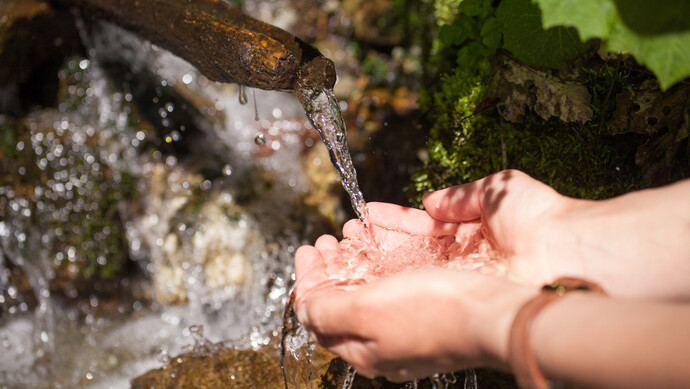 杭州超火的山泉水,网友接水回来吓一跳:幸亏多看了