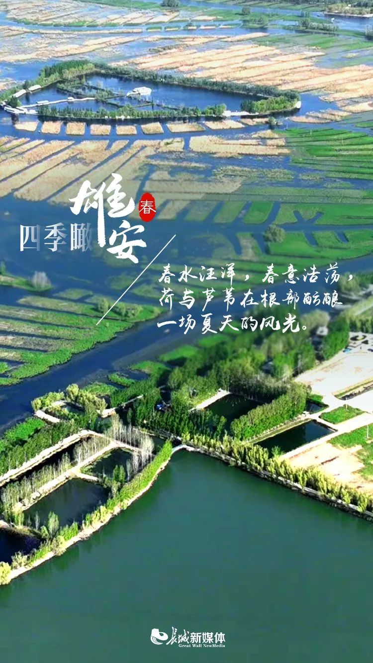 海报派四季瞰雄安春