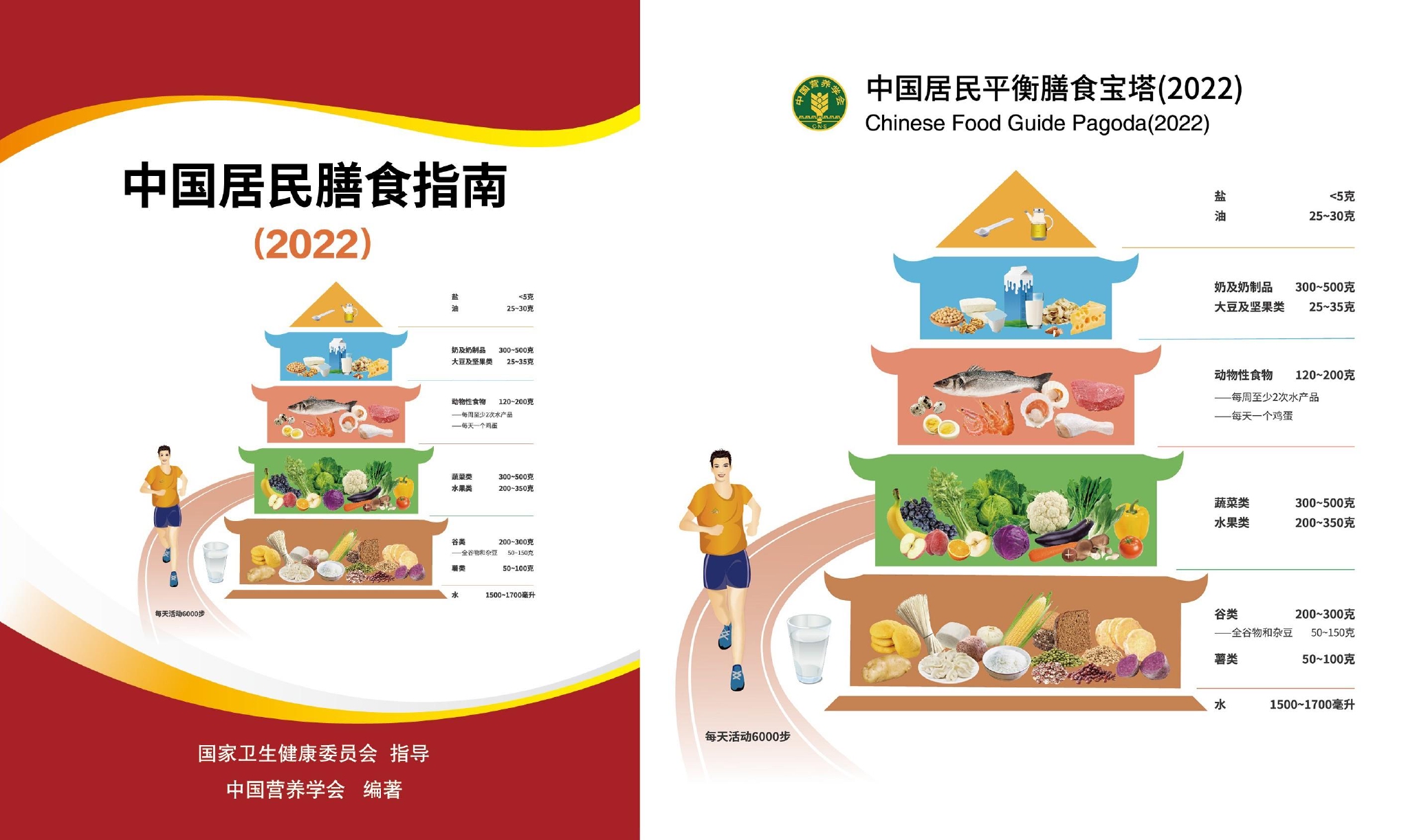 从餐桌到身形：营养师教你健康减肥