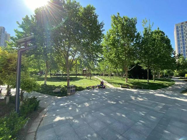 健身步道舒适花木种类繁多石家庄民防公园提升改造完工正式开放啦