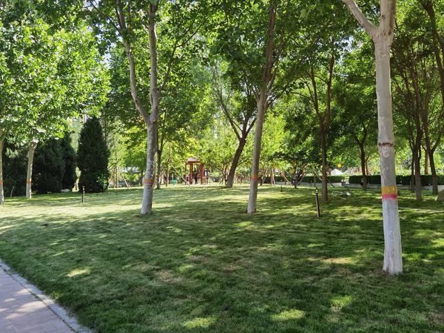 健身步道舒适花木种类繁多石家庄民防公园提升改造完工正式开放啦