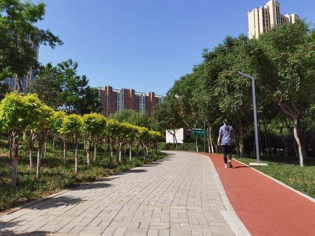 健身步道舒适花木种类繁多石家庄民防公园提升改造完工正式开放啦