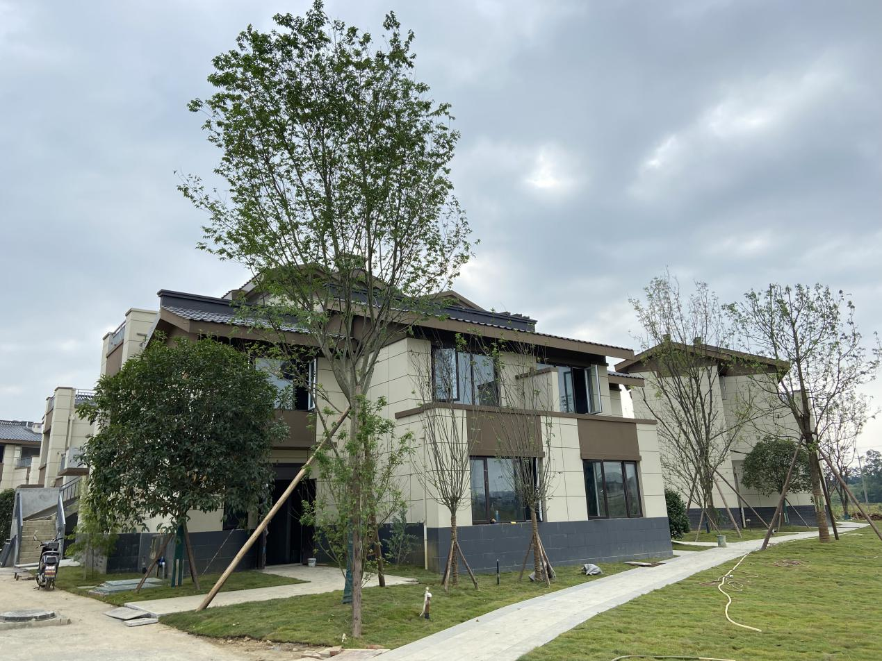 图为成都龙泉驿区顶佛寺村村民新居