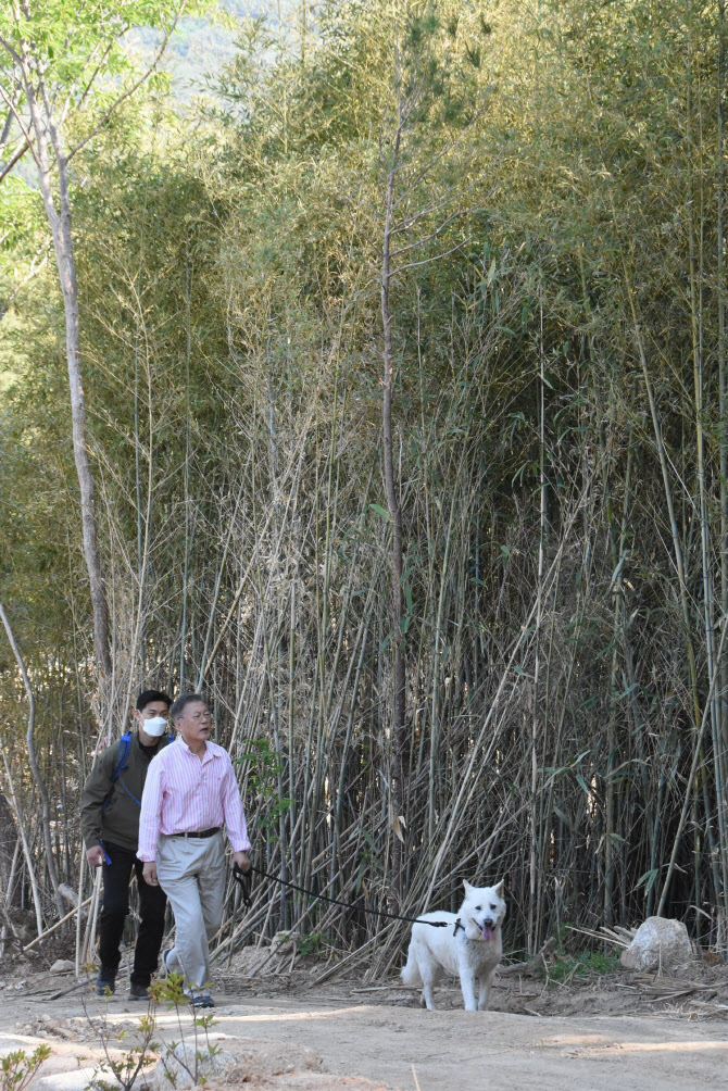 文在寅在乡间小道遛狗（社交平台）