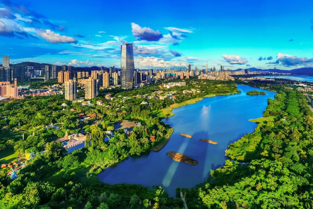 美丽的华侨城湿地&nbsp; 欧阳勇&nbsp;&nbsp;摄