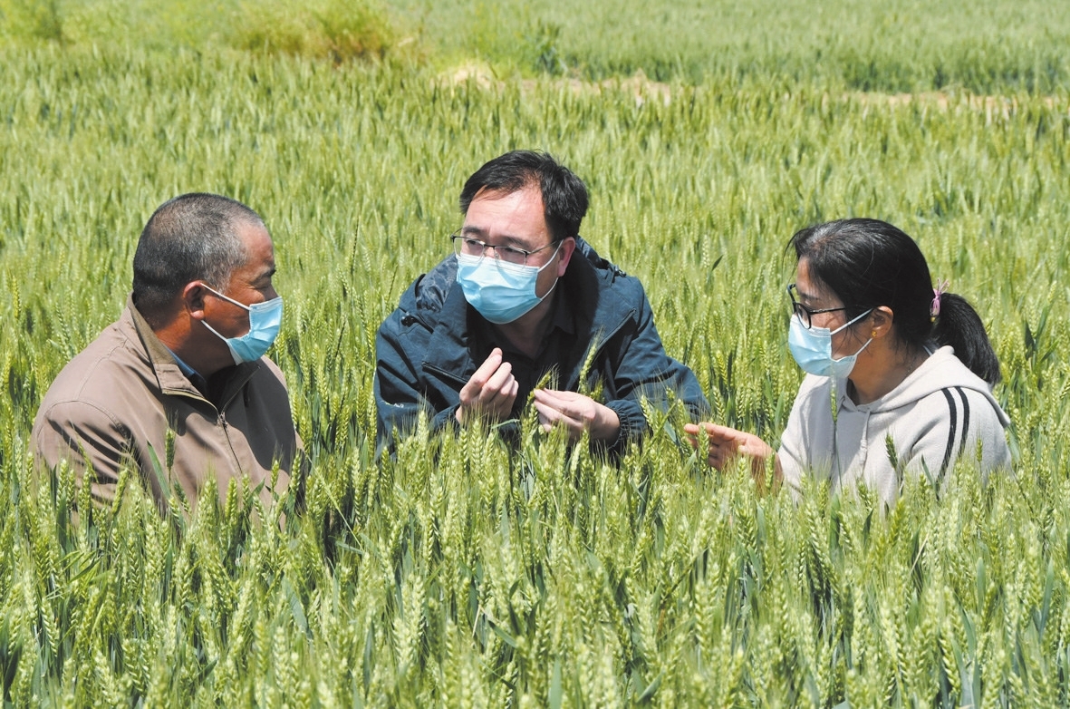 永年区农业部门组织农技专家深入田间_新浪财经_新浪网