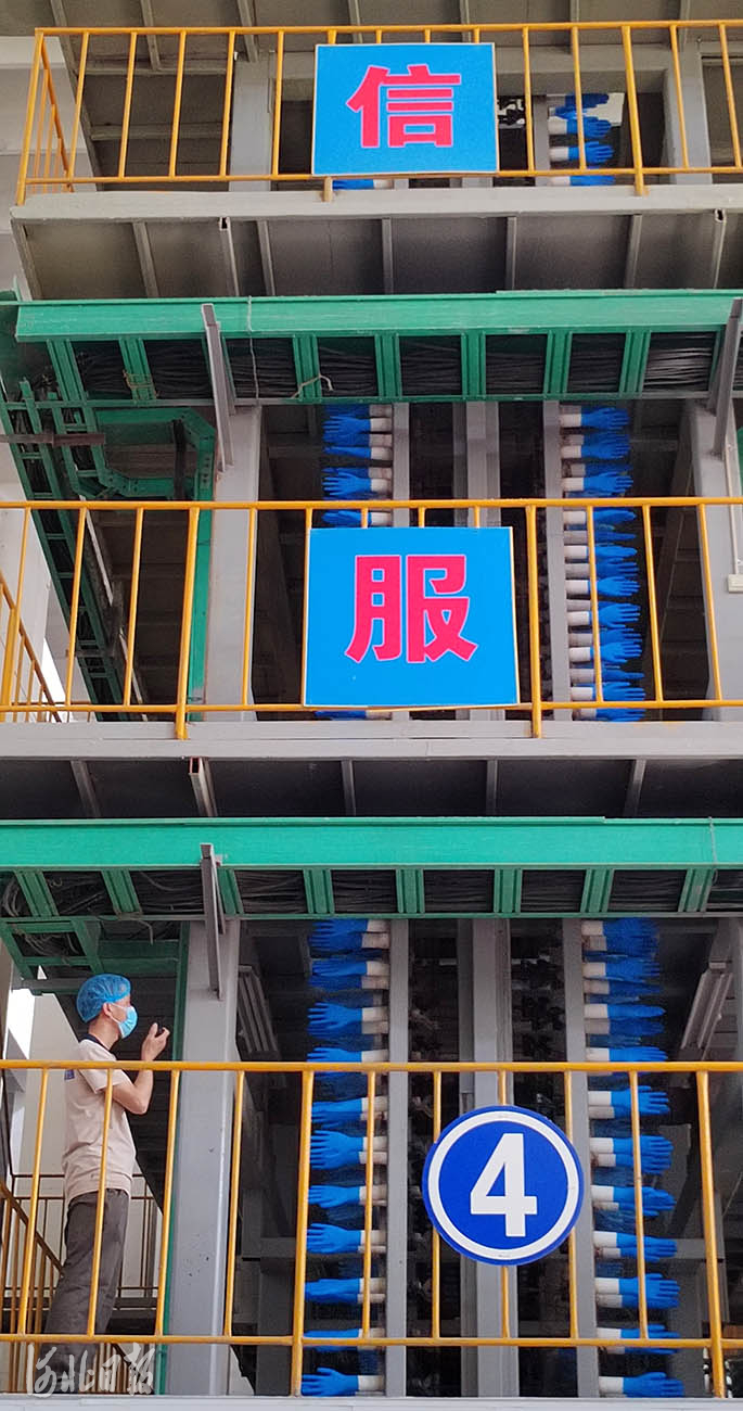 河北南宫:产学研一体化 丁腈手套热销海外市场|经济开发区_新浪财经