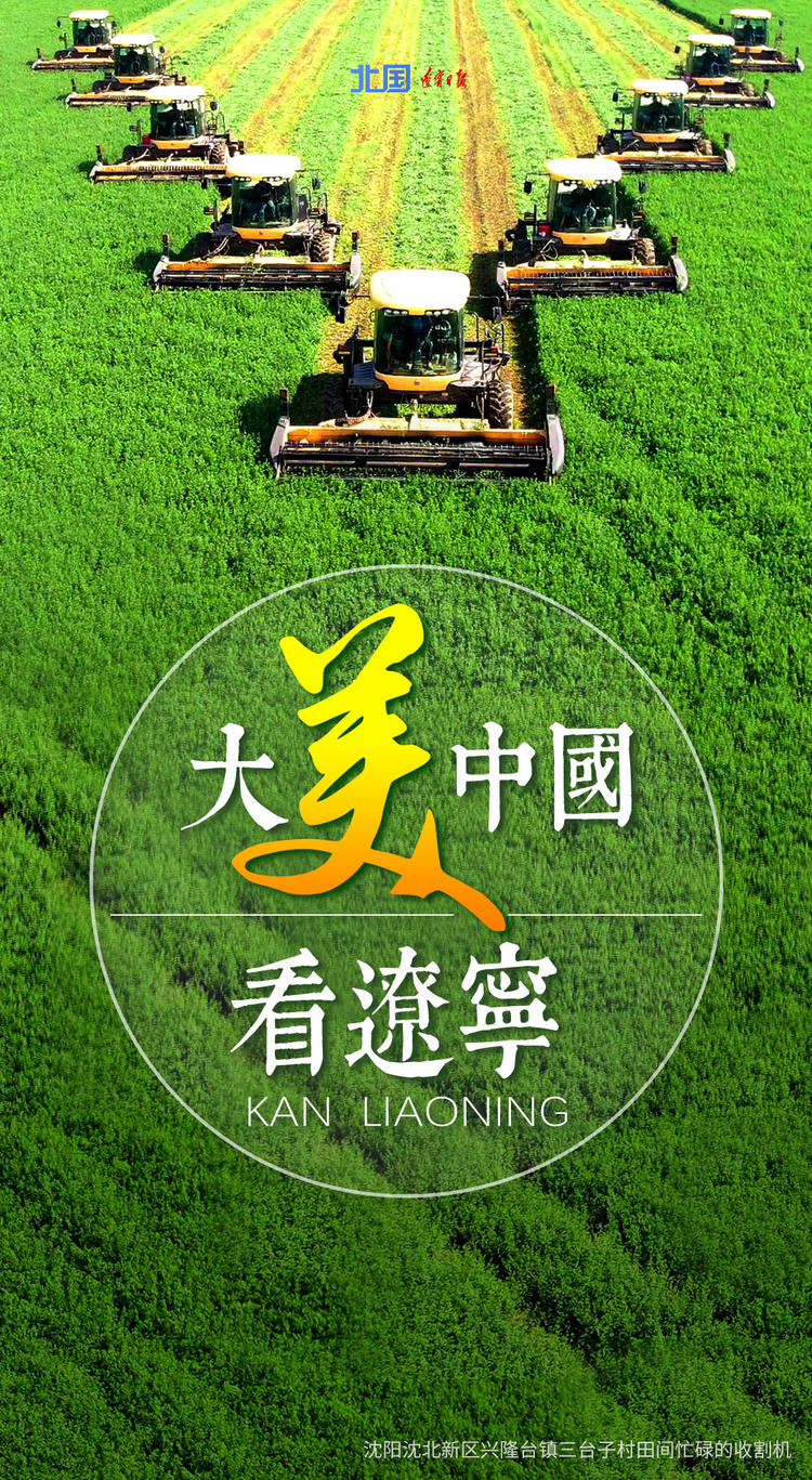 海报│大美中国看辽宁麦青花繁雁落霞飞