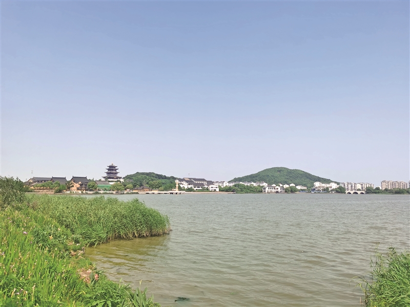 荒地变花海,山水融于城 阳山荡打造科创带最美"迎客厅"