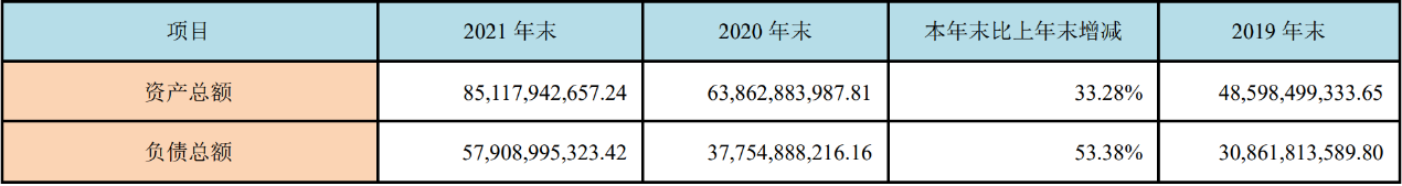 （来源：公司年报）