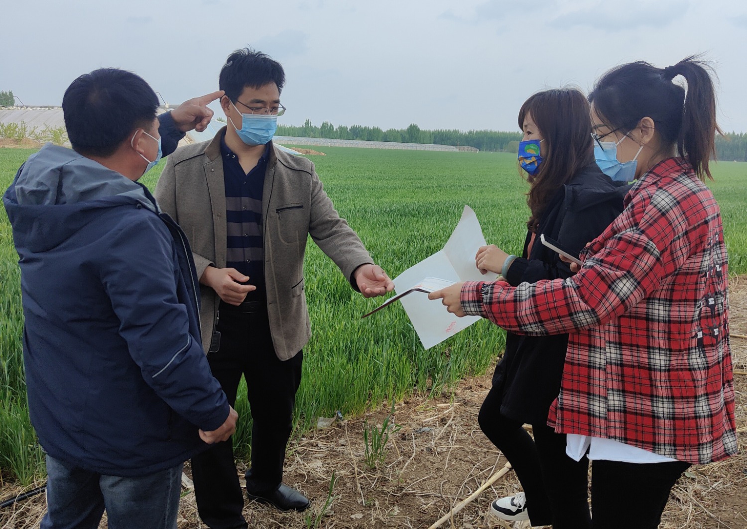 图为河北省永清县财政局、人社局和邮储银行永清支行三方工作人员到永清县春满种植家庭农场走访核查创业担保贷款使用情况