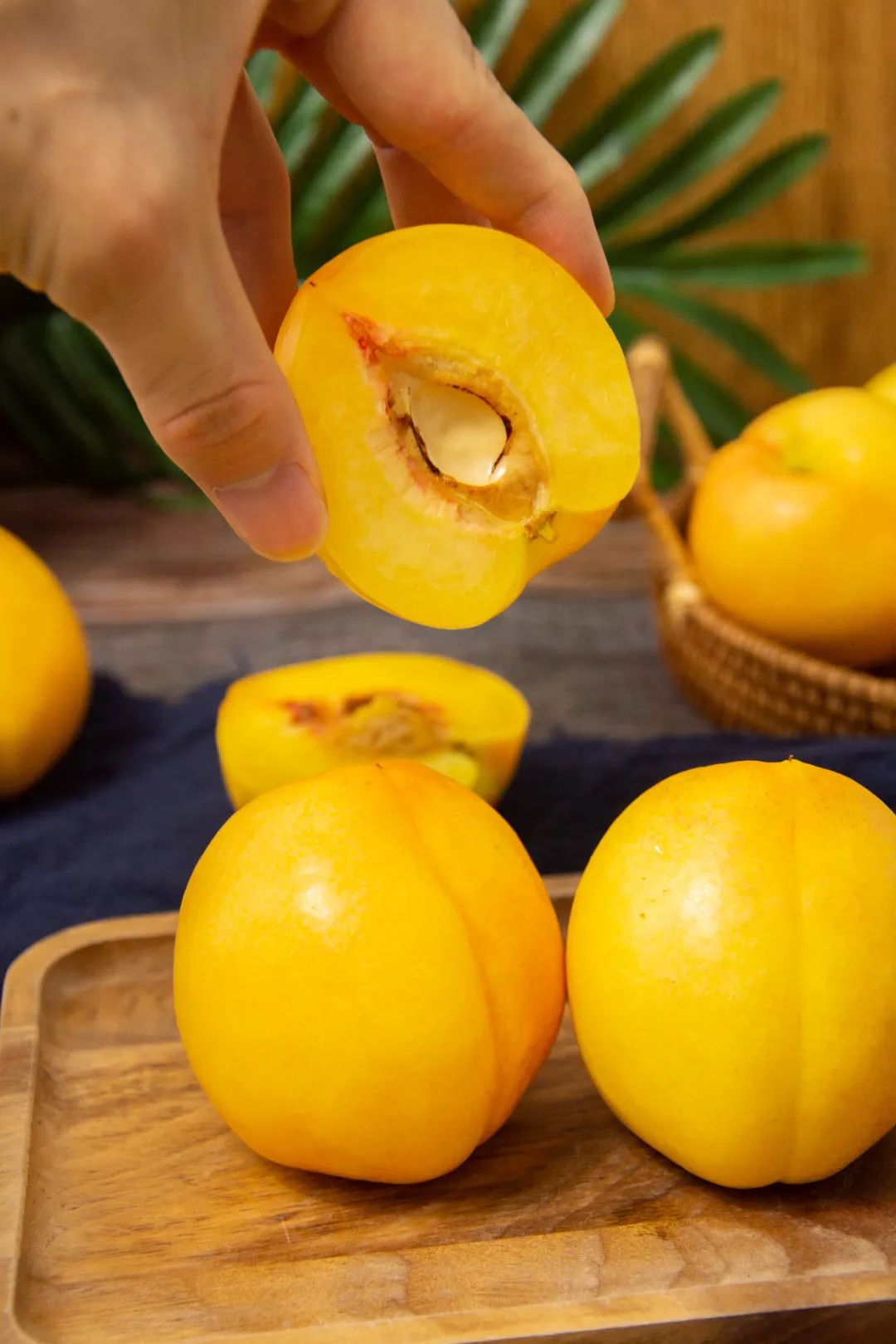 桃不掉了个大饱满的黄金油桃人见人爱