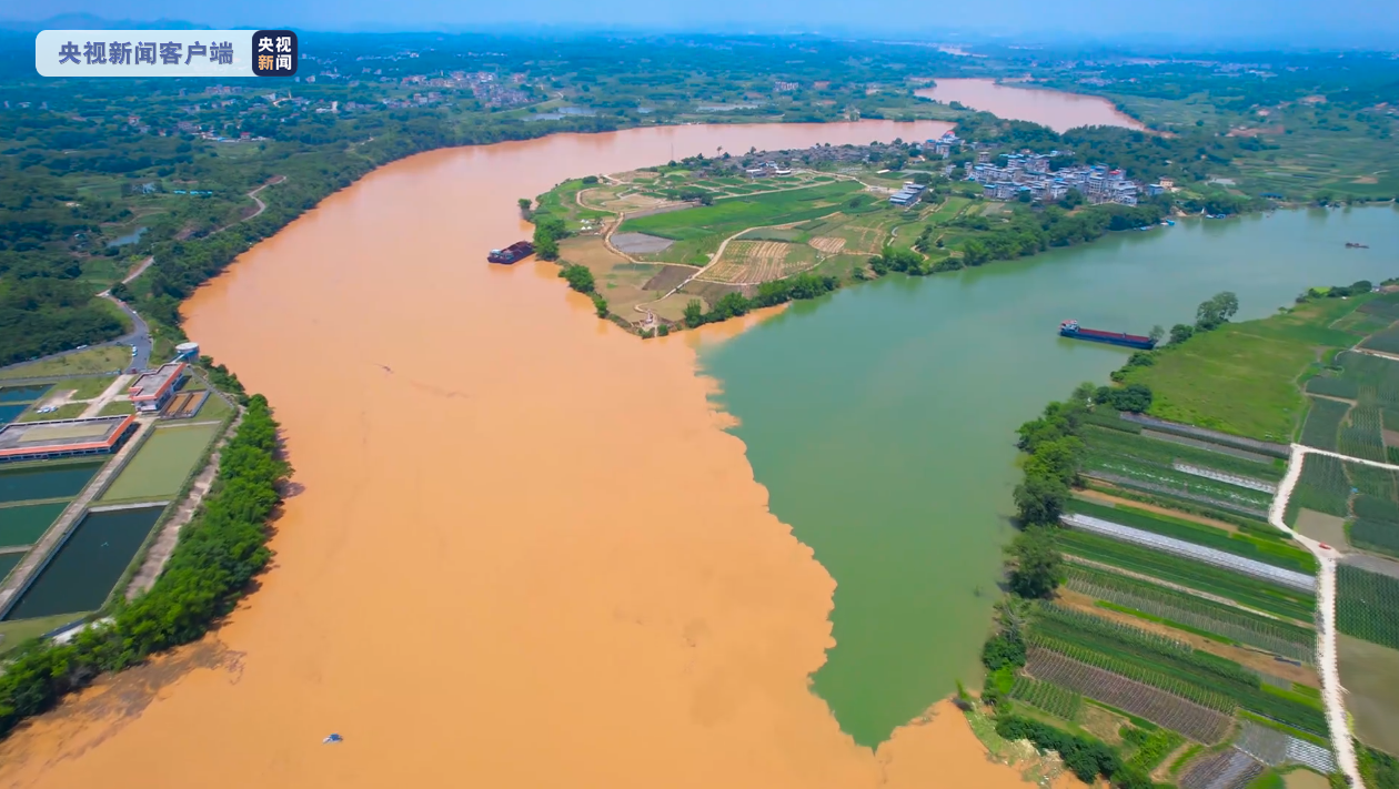 广西南宁三江口现"鸳鸯江"景观|广西_新浪财经_新浪网