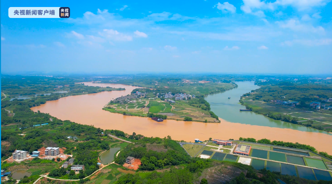 黄绿分明广西南宁三江口现鸳鸯江景观