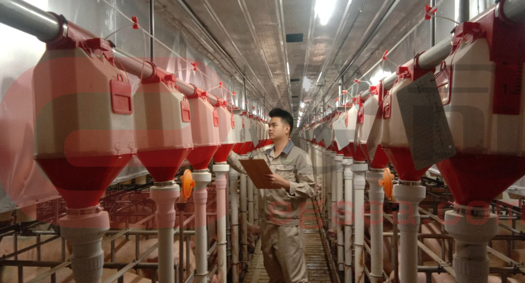 牧原股份生猪养殖场区