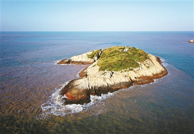 韭山列岛隔海相望的鸟类天堂