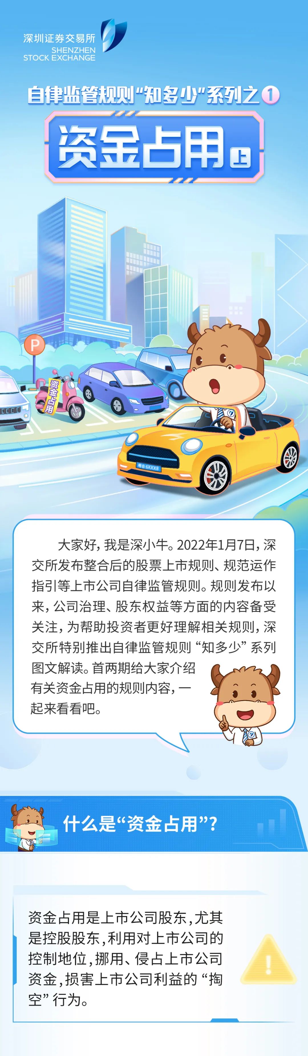 “读懂上市公司报告丨自律监管规则“知多少”系列之一 ：资金占用（上）