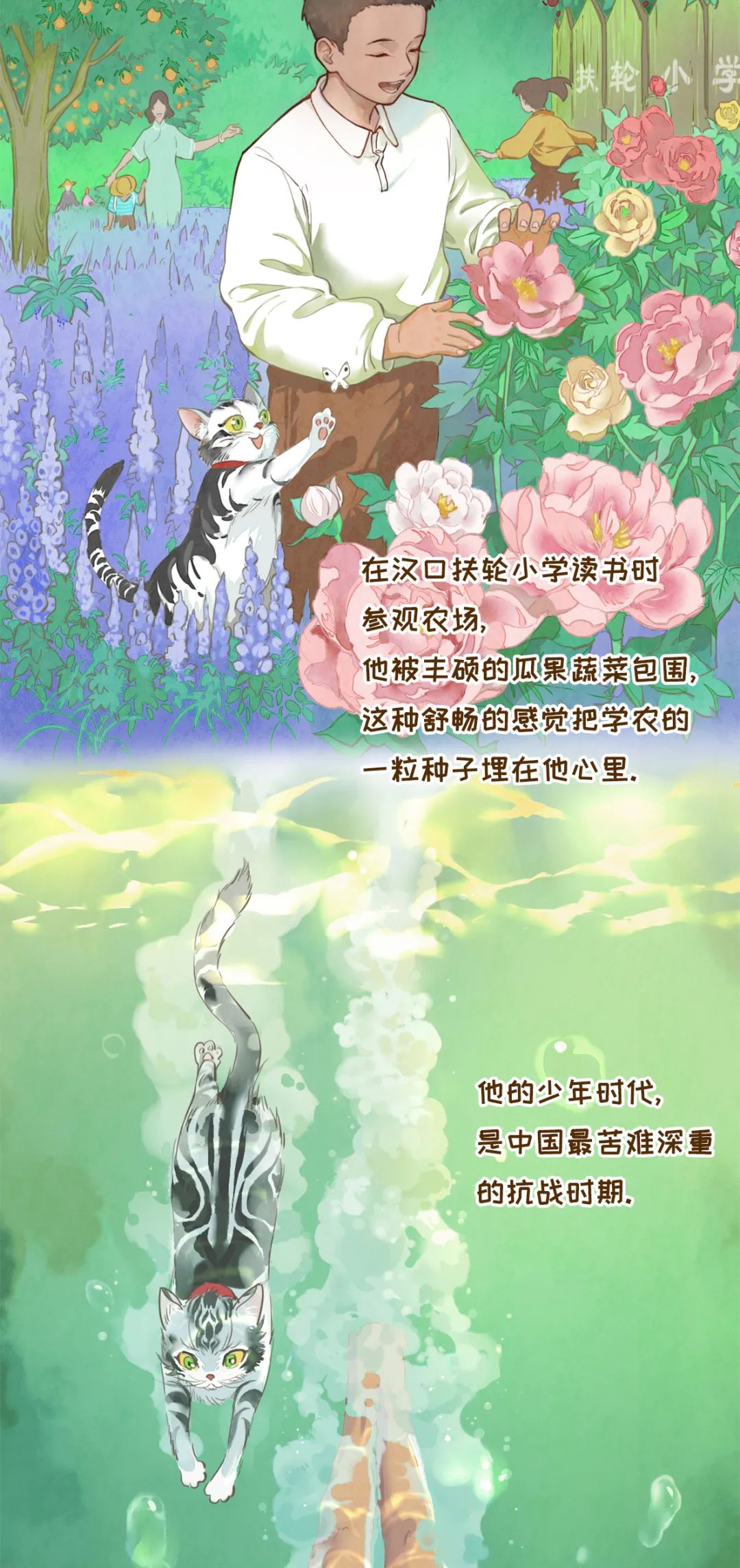 种子选手袁隆平