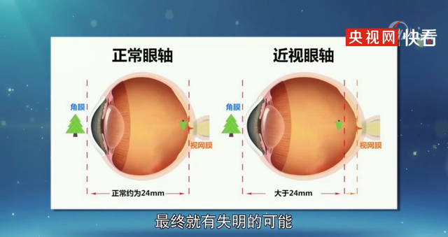 【来源：央视网】