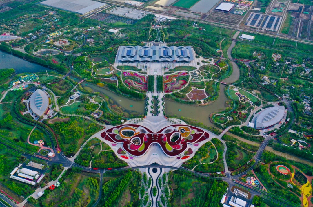 去年今日第十届中国花博会在崇明开幕