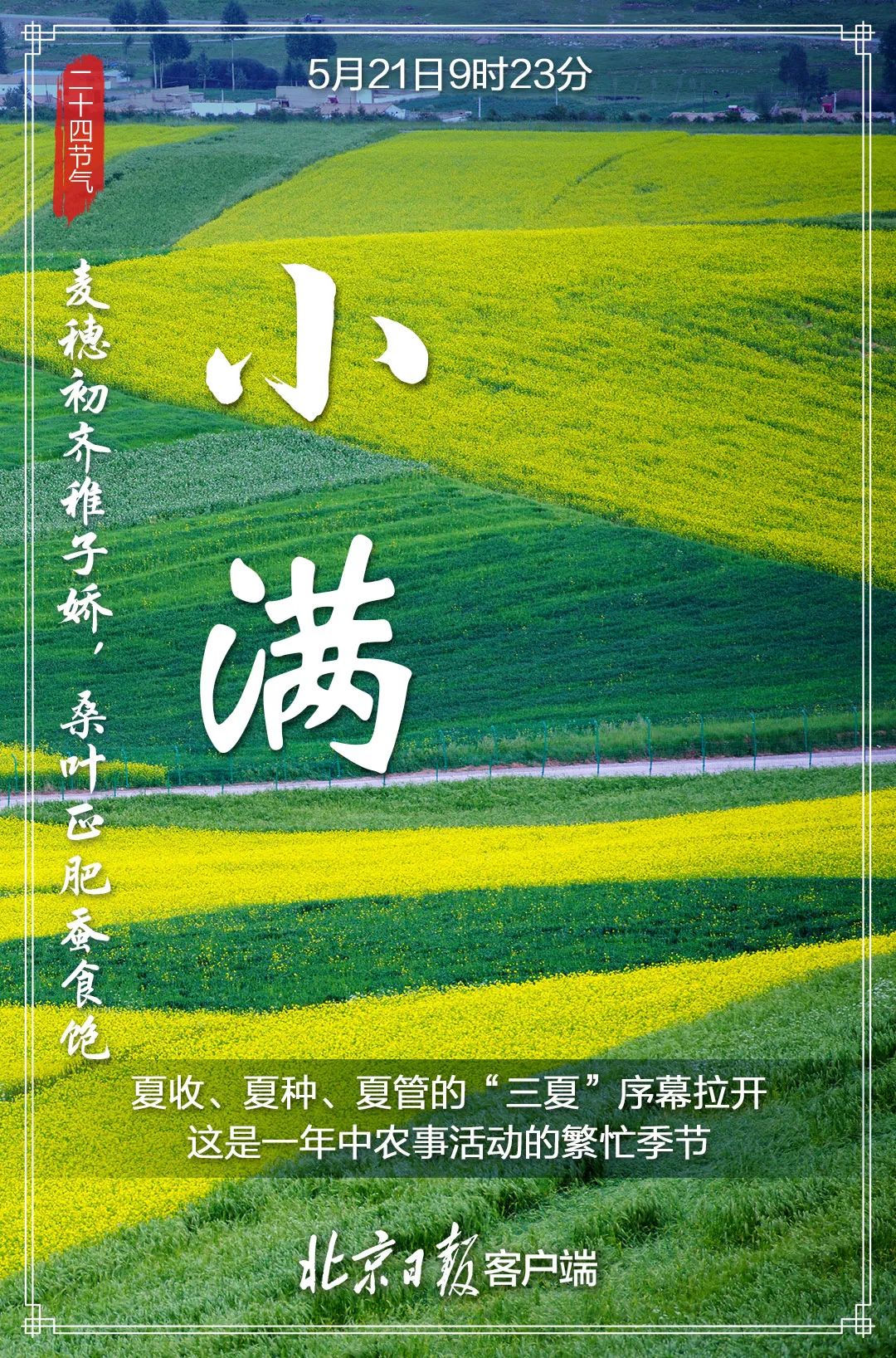 今日小满为何没大满戳文了解