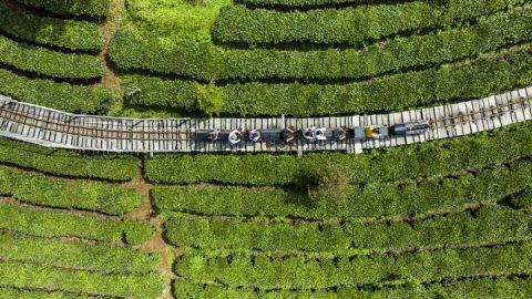 　　游客在普洱市思茅区倚象镇一家茶旅融合主题公园游玩（5月13日摄，无人机照片）。新华社 记者 江文耀 摄