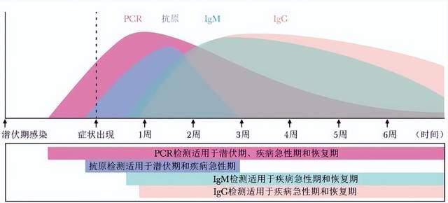 多检测技术路径对比 数据来源：协和医学杂志，东吴证券研究所