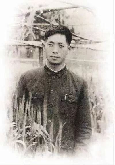 长沙院士一桌菜①丨丰碑追忆杂交水稻之父袁隆平院士