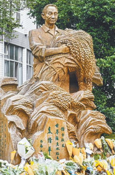 袁隆平的塑像前,从来没断过鲜花(西南大学档案馆供图)
