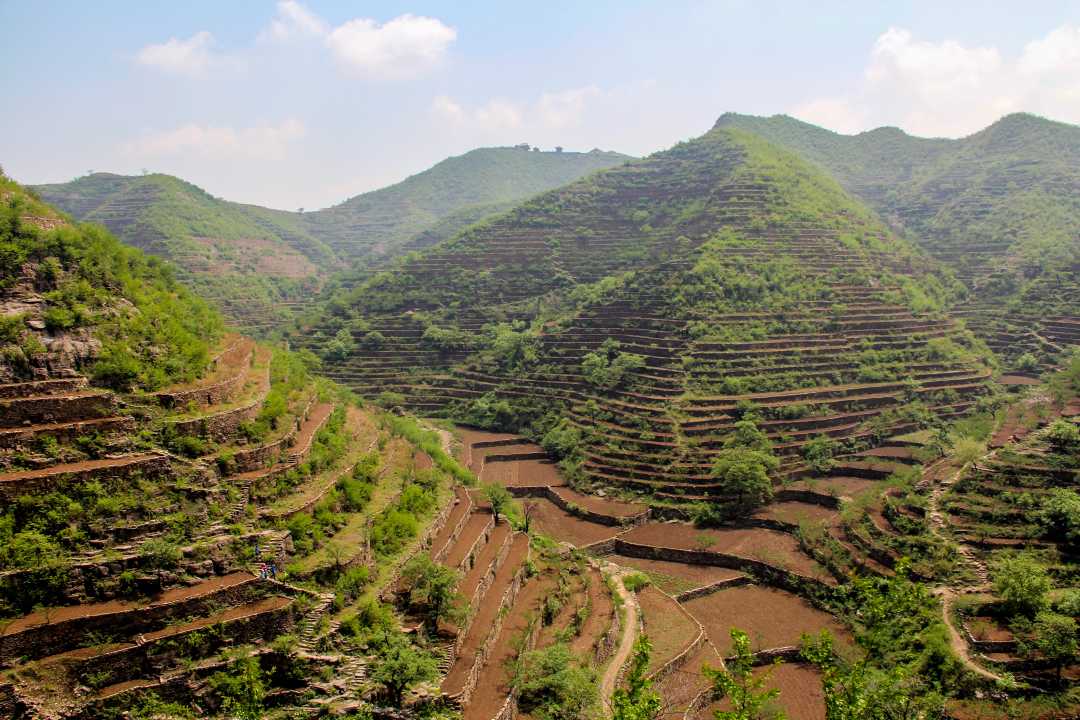 河北省邯郸市王金庄梯田春日景色. 杨彦忠摄