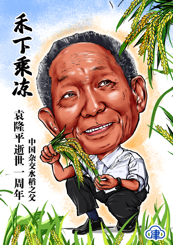咸菜坛子种出海水稻他的梦正在天津逐渐成真