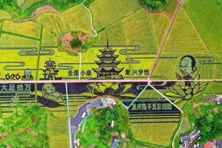 夜雨丨郑劲松永远的隆平学长散文诗袁隆平院士逝世周年纪念