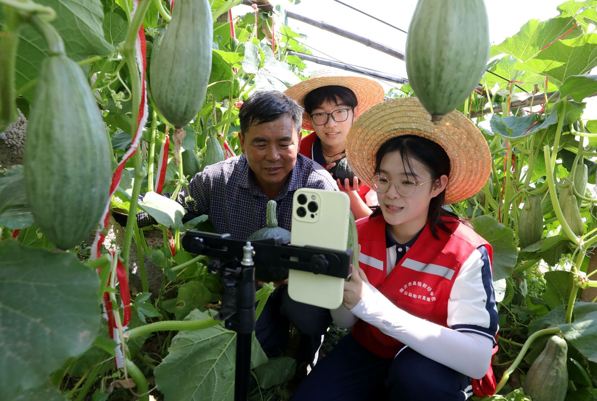 组图丨公益直播助农临沂学生帮农民卖南瓜