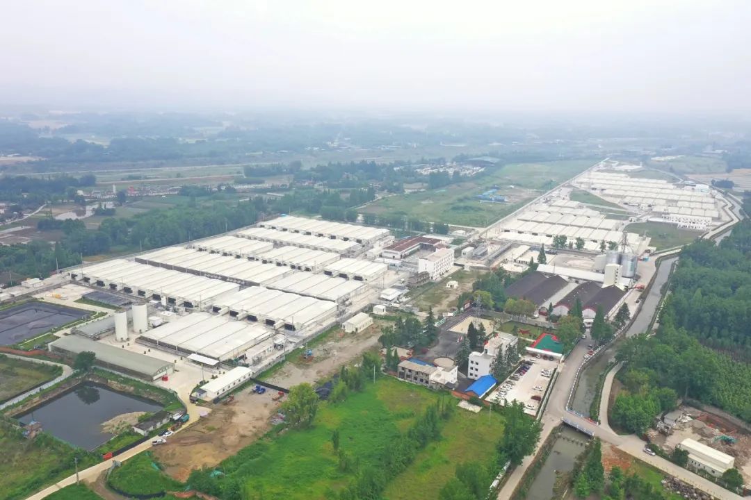 融通农发牧原(崇州)公司厂区全景
