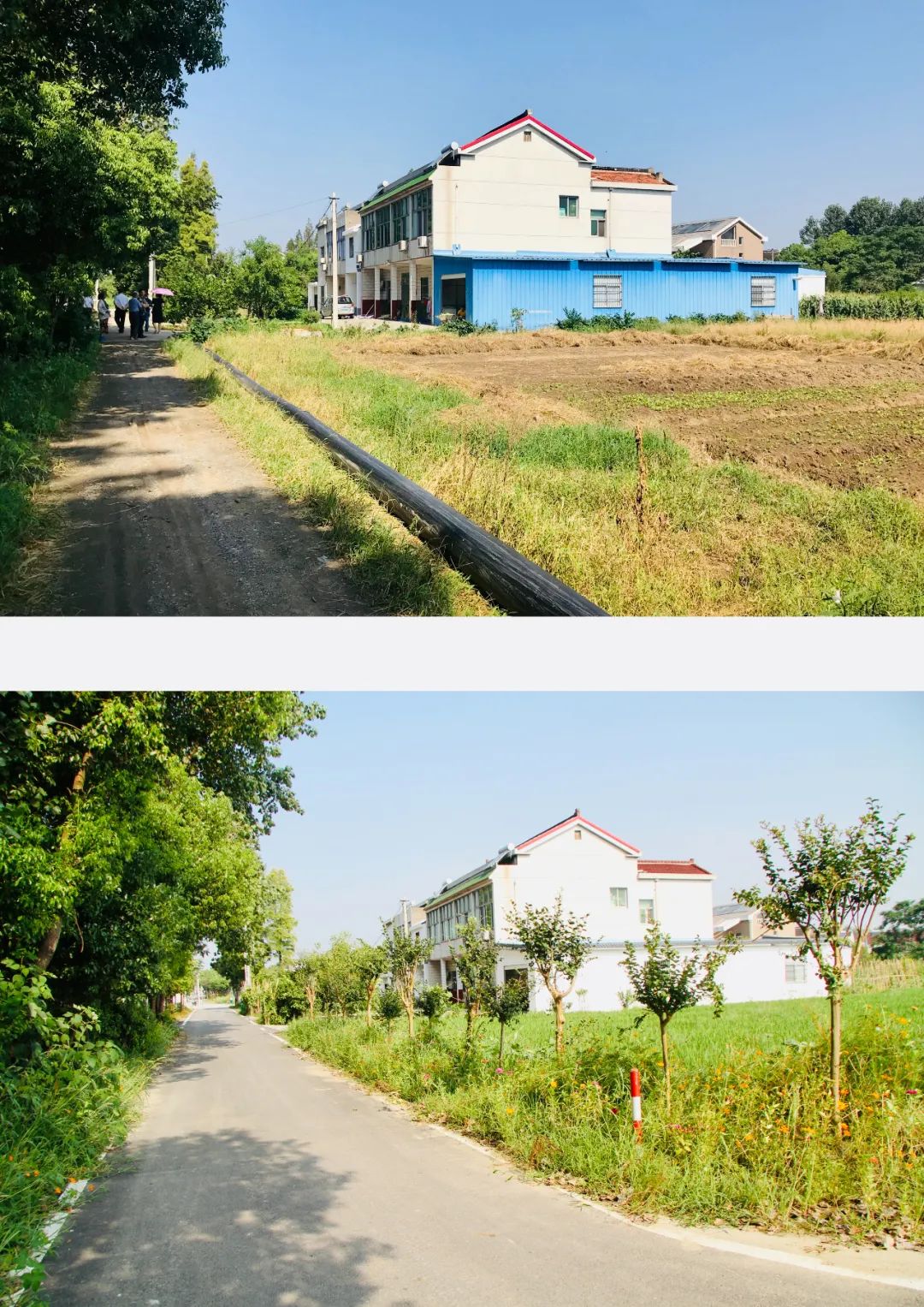 瞧,这个名叫新市村的苏南小村里,新事儿有挺多|我们的新时代|吴亚平