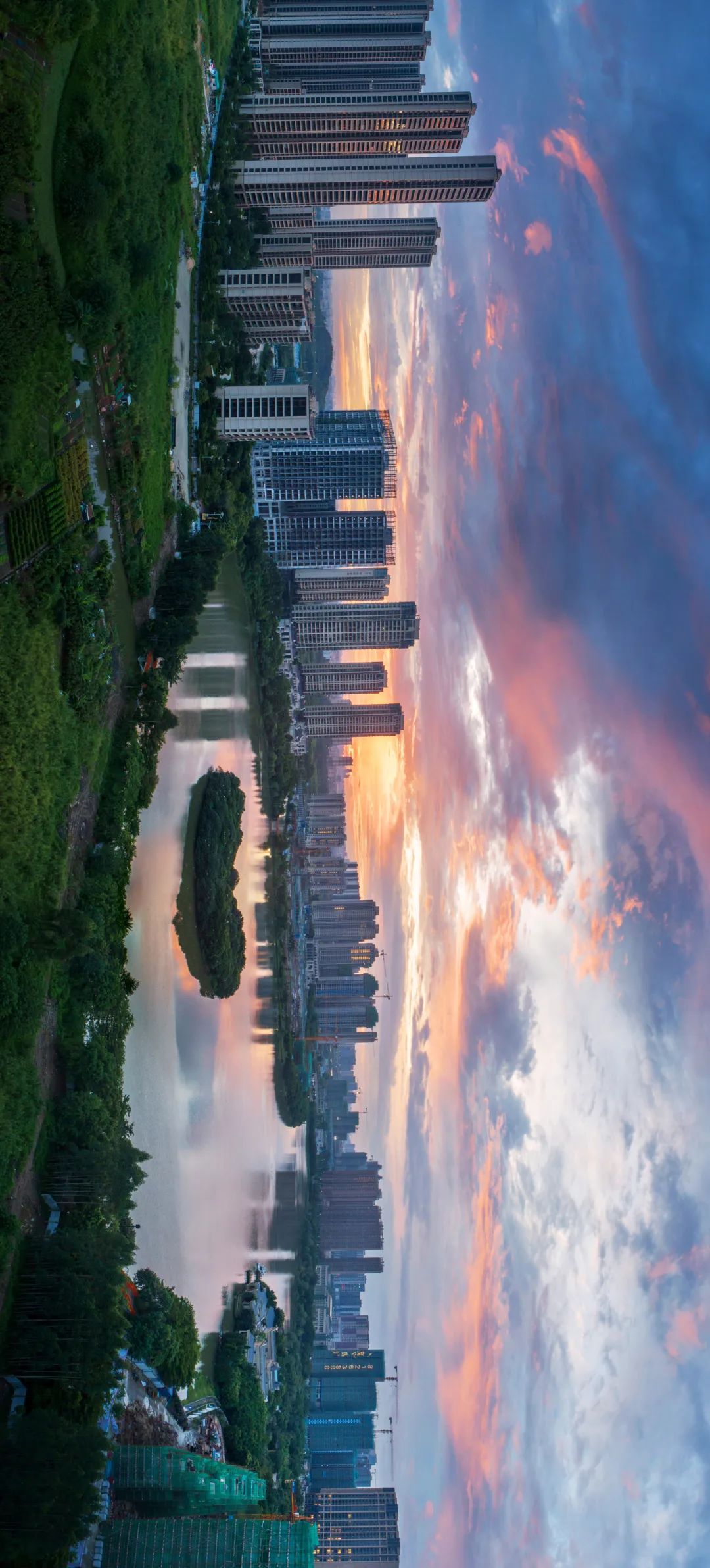 绿岛湖公园,现代城市中的生态绿心,鹭鸟岛吸引众多鹭鸟栖息于此.