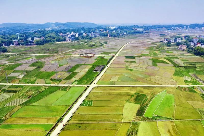 图为西乡塘区石埠镇那告坡乡村公路.