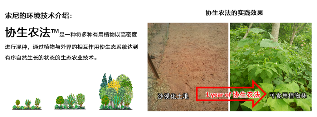 索尼的环境技术介绍。资料图片