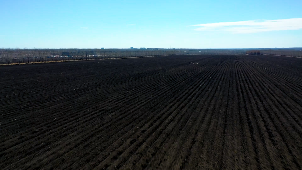 "北纬47度"恰恰位于东北平原核心区域,这里不仅有"一抓一把油"的黑土.