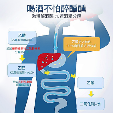 滴酒不沾的人如何破密解酒方法