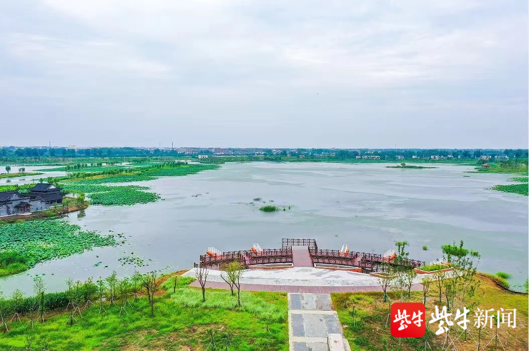 首次发现红脚苦恶鸟和斑头鸺鹠扬州邗江亮出生物多样性家底