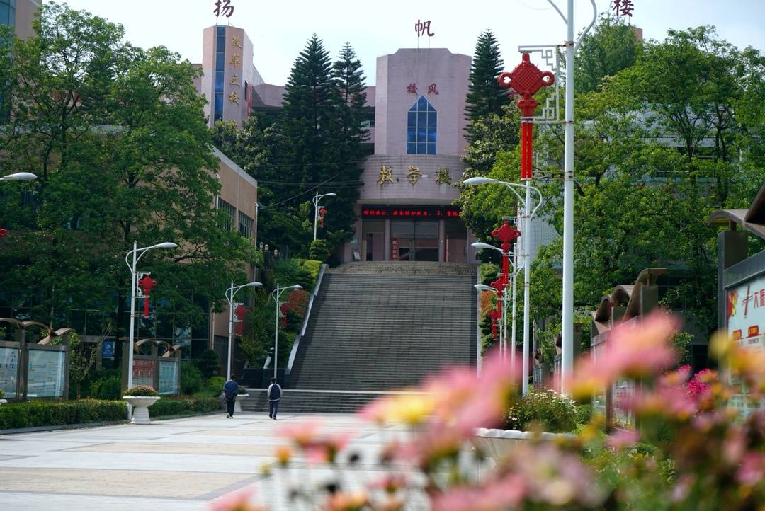 资阳市安岳中学教师陈家武:继续做"晨兴理荒秽,带月荷锄归"的"教育