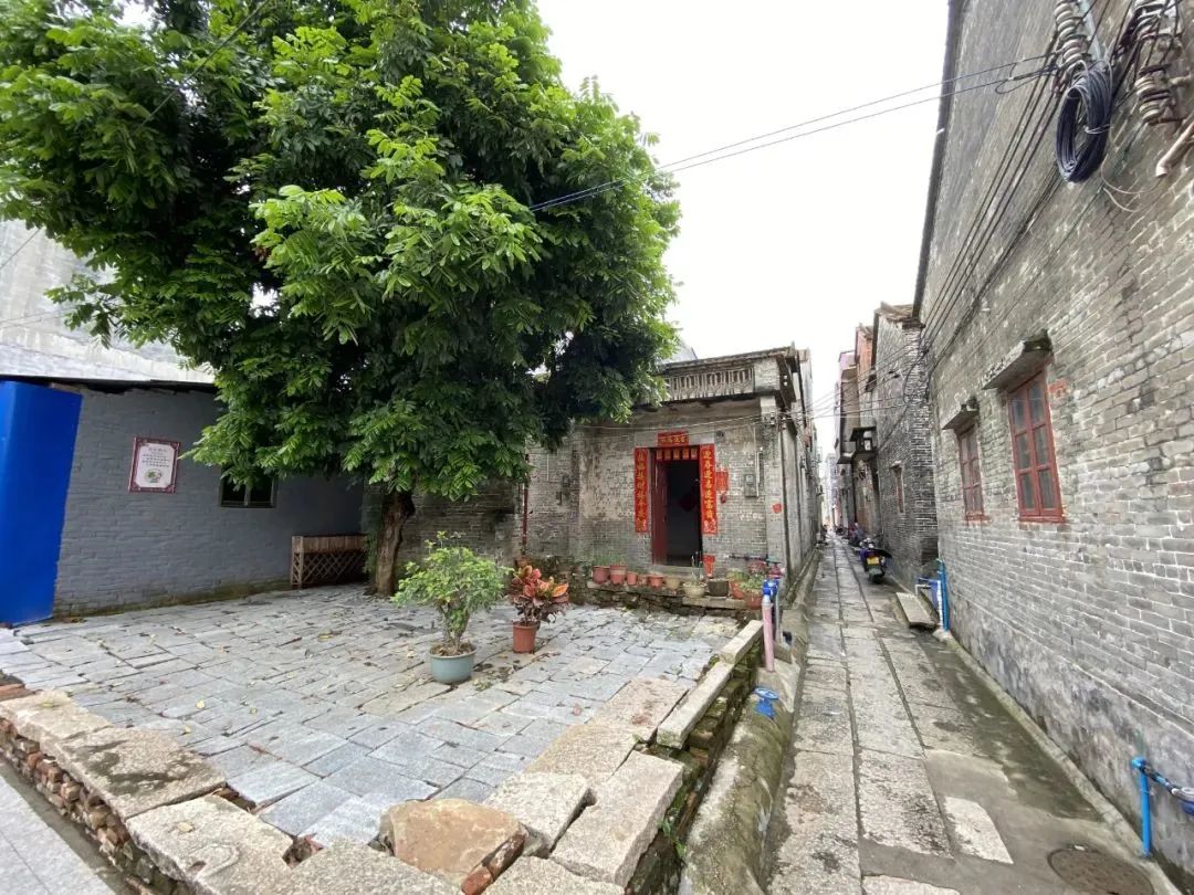 西江日报记者 赖小琴 摄