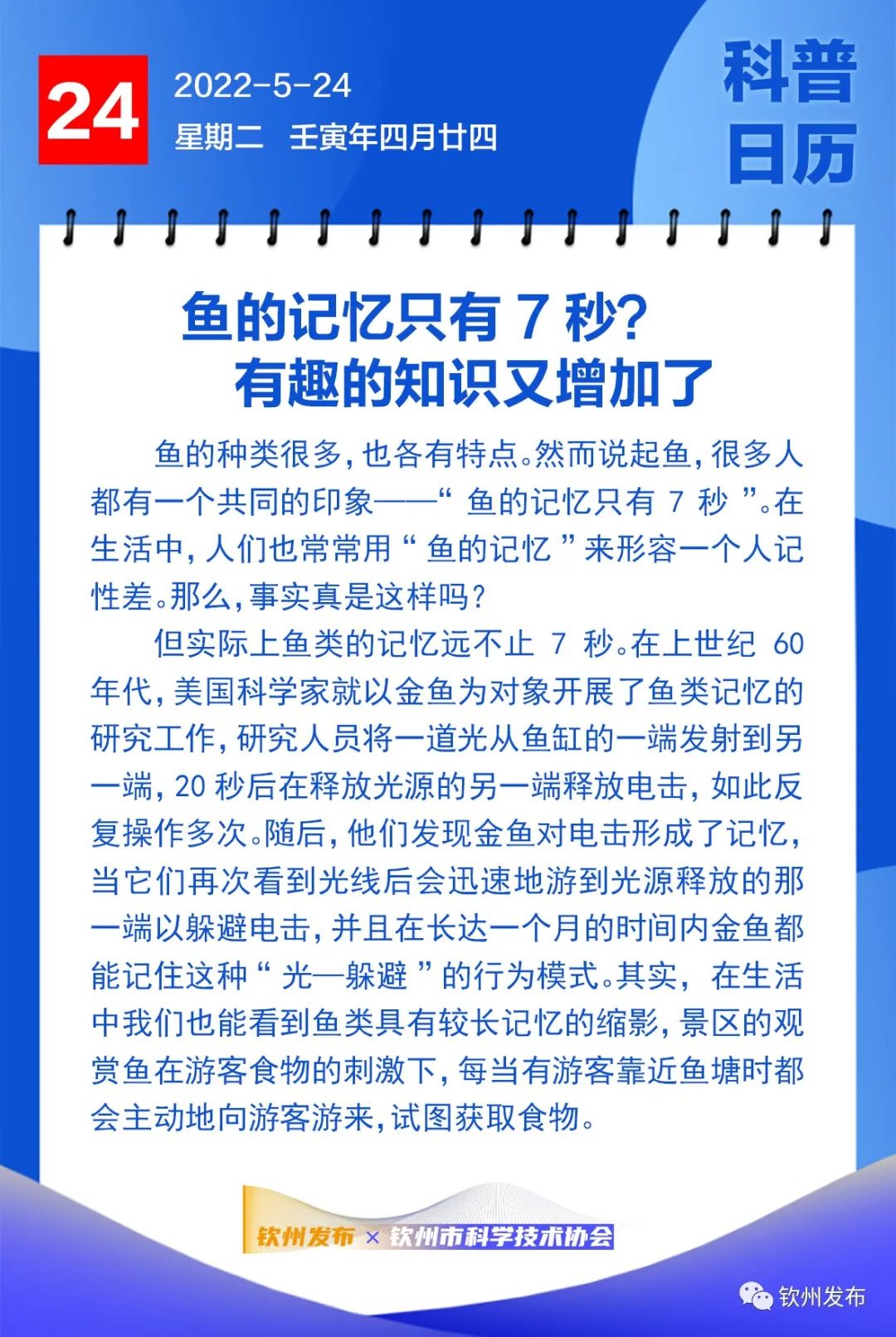 钦州科普日历丨鱼的记忆只有7秒?有趣的知识又增加了