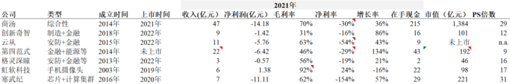 图：部分AI公司信息汇总，来源：Cowgirl整理