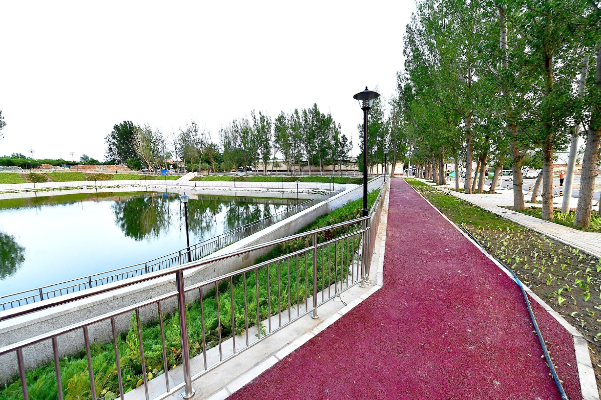 冯维静)废坑塘打造循环水系,花草树木陆续扎根,昔日的"脏乱臭"经整治