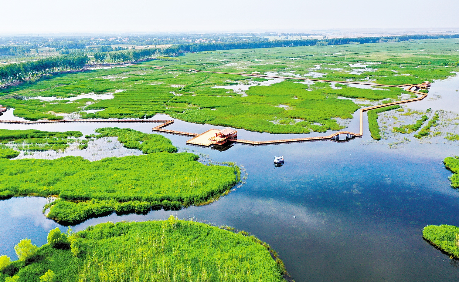 入夏的白洋淀里烟波浩淼,美景如画令人神往.